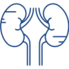 Nephrology