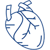 Cardiology